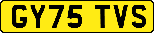 GY75TVS