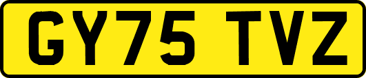 GY75TVZ