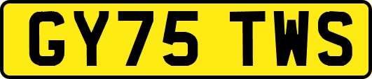 GY75TWS