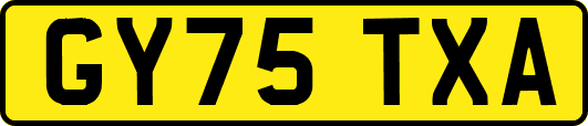 GY75TXA