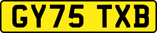 GY75TXB