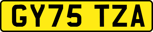 GY75TZA