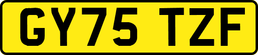 GY75TZF