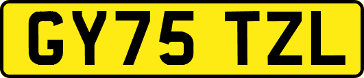 GY75TZL