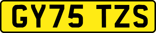 GY75TZS