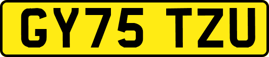 GY75TZU