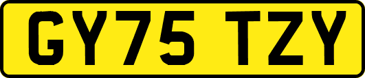 GY75TZY