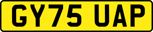 GY75UAP
