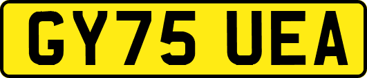 GY75UEA