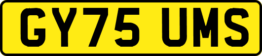 GY75UMS