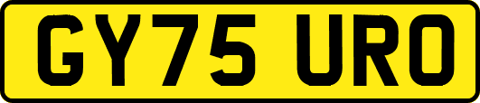 GY75URO