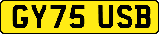 GY75USB