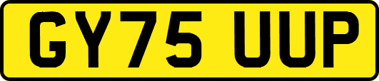 GY75UUP