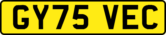 GY75VEC