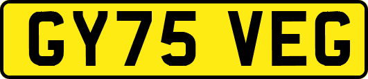 GY75VEG