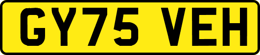 GY75VEH