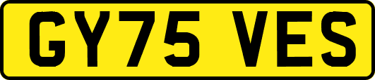 GY75VES