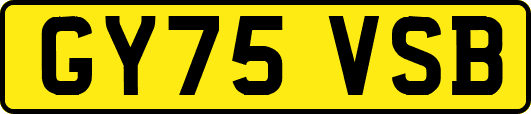GY75VSB