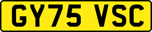 GY75VSC