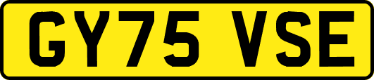GY75VSE