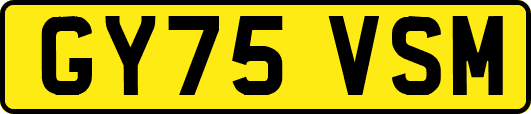 GY75VSM