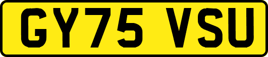GY75VSU