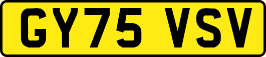 GY75VSV