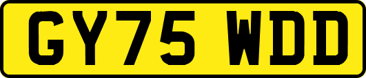 GY75WDD
