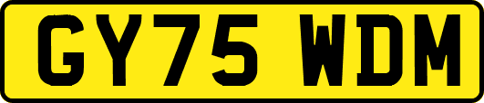 GY75WDM