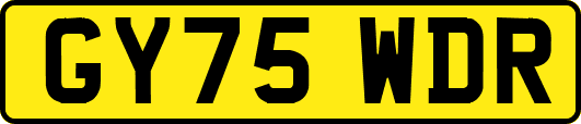 GY75WDR