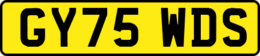 GY75WDS