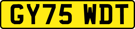 GY75WDT