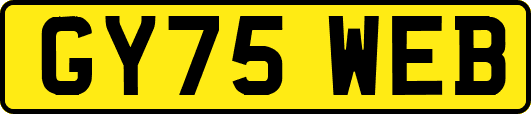 GY75WEB