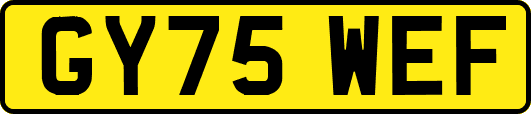 GY75WEF