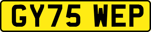 GY75WEP