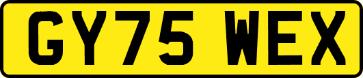 GY75WEX