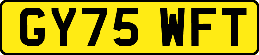 GY75WFT