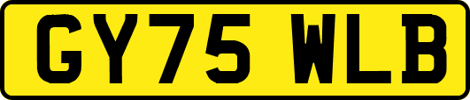 GY75WLB