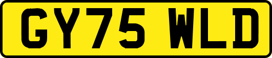 GY75WLD