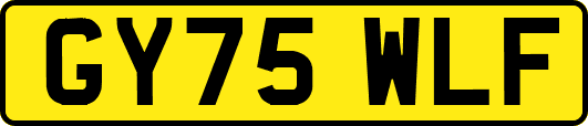 GY75WLF