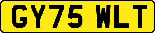 GY75WLT
