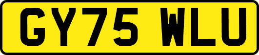 GY75WLU
