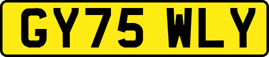 GY75WLY
