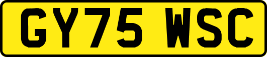 GY75WSC