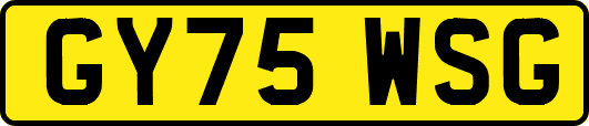 GY75WSG