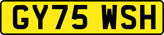 GY75WSH