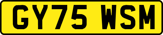 GY75WSM