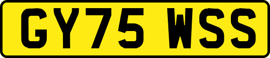 GY75WSS