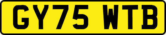 GY75WTB
