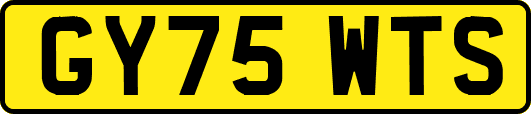 GY75WTS